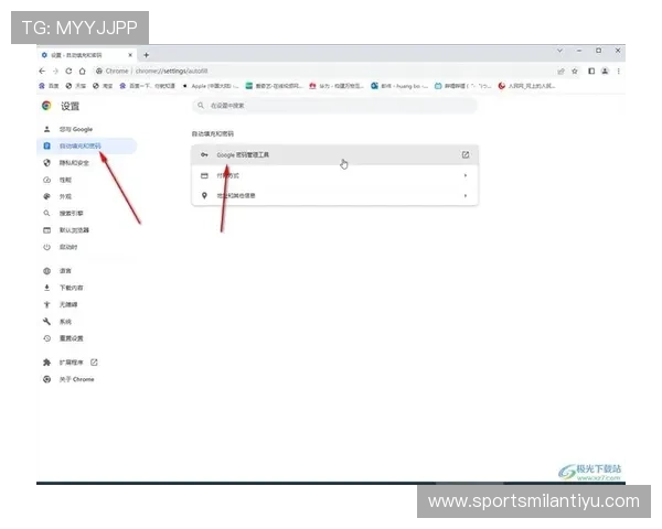 米兰在线登录入口:官方推荐的登录步骤与账号安全保障措施