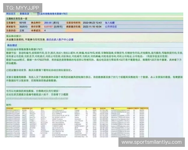 米兰外网安全指南:保障个人隐私与数据安全的实用建议